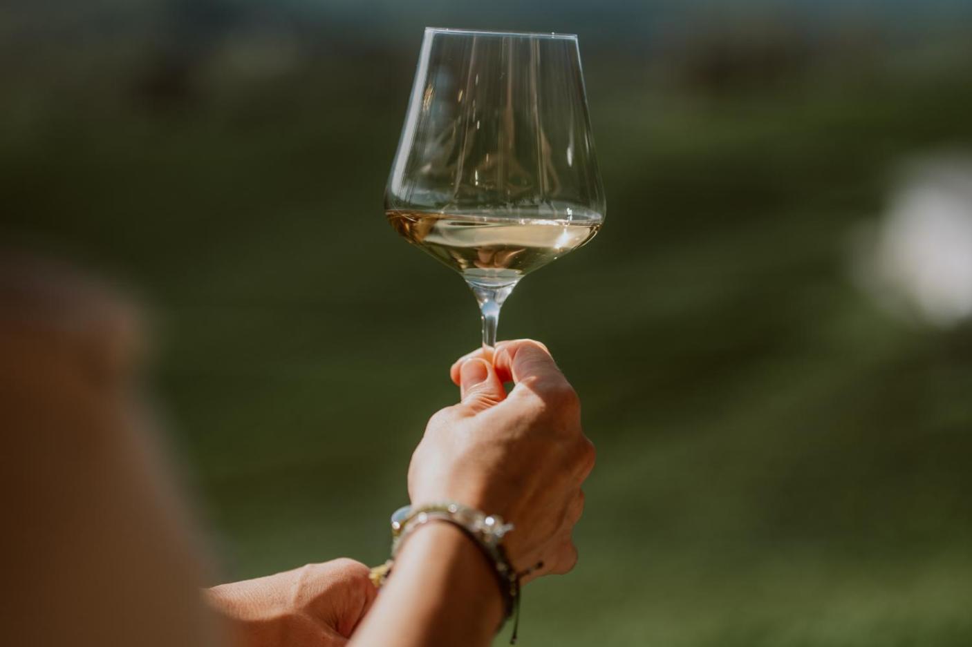 Hotel Mahorko Wein Wellness Wasserbueffel Glanz an der Weinstraße Exteriér fotografie