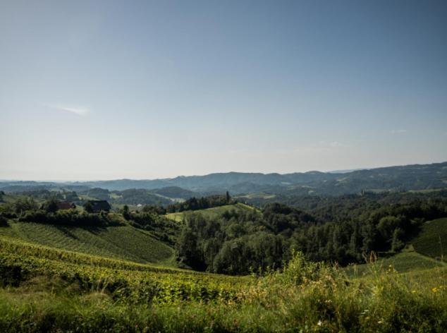 Hotel Mahorko Wein Wellness Wasserbueffel Glanz an der Weinstraße Exteriér fotografie