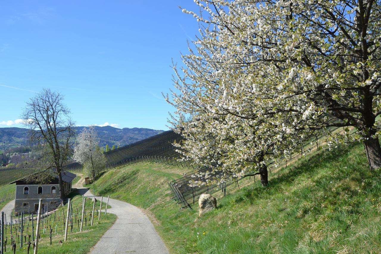 Hotel Mahorko Wein Wellness Wasserbueffel Glanz an der Weinstraße Exteriér fotografie