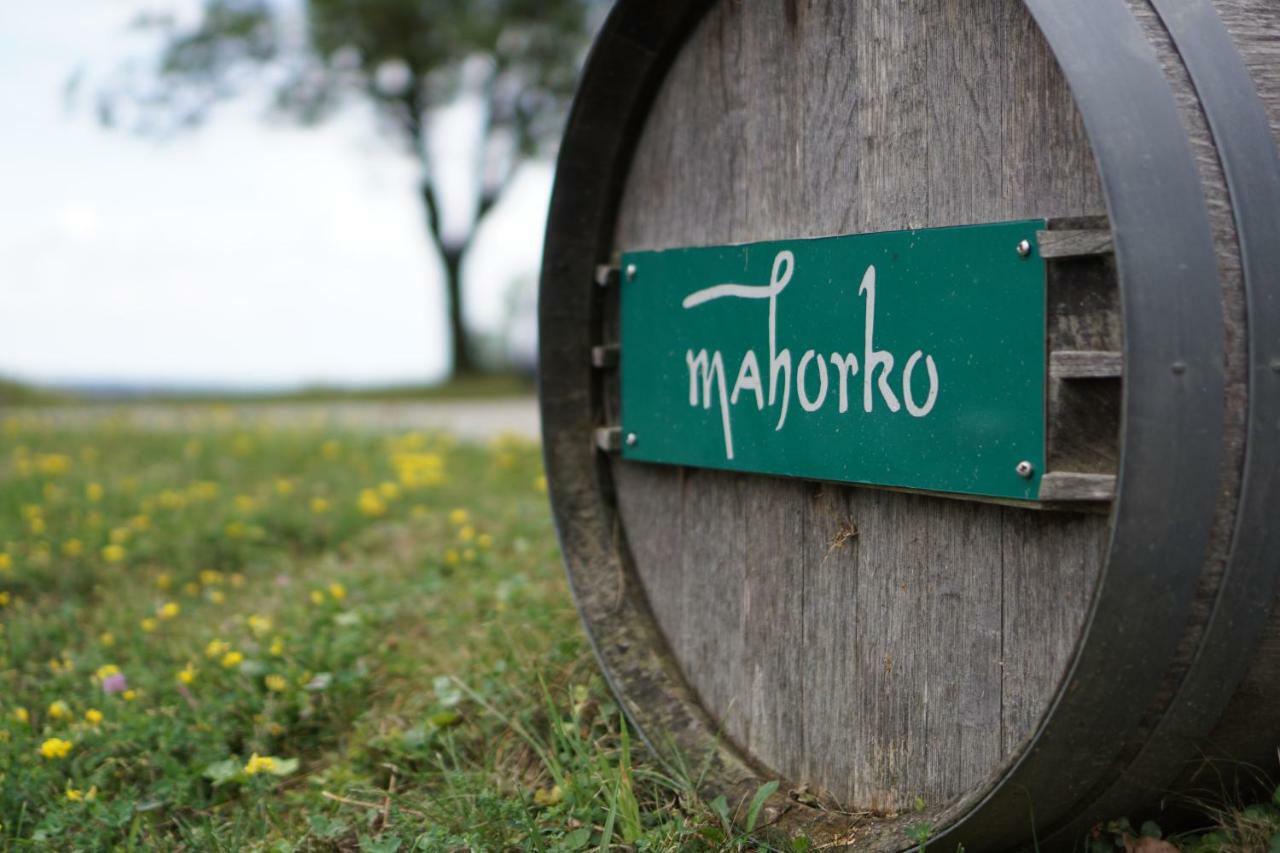 Hotel Mahorko Wein Wellness Wasserbueffel Glanz an der Weinstraße Exteriér fotografie